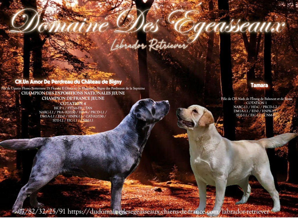 Prochaine naissance.